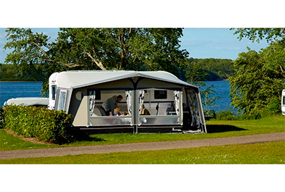 Isabella Ambassador Seed